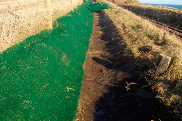 green-mat-33EAC147D-B25E-2834-DC03-75392DBEBC9B.jpg