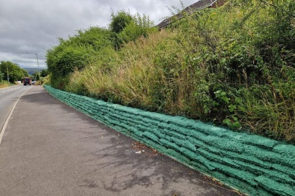 greenlok™-vegetated-wall-system-29B938E9F-B120-5956-EFE9-FFE63E041D71.jpg