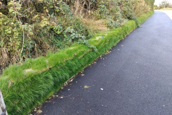 greenlok™-vegetated-wall-system-332C3C46A-8DFF-240B-EBF7-AE1757145214.jpeg